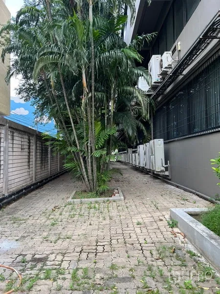 Office Space for rent in Mueang Samut Prakan, Samut Prakan - Side walkway with palm trees and exterior air‑conditioning units beside the building.
