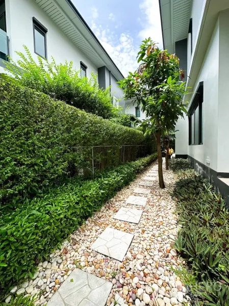 Detached House for rent or sale in Bang Kapi, Bangkok - Pebble garden pathway with stepping stones, lush hedges and a small tree between neighboring houses.