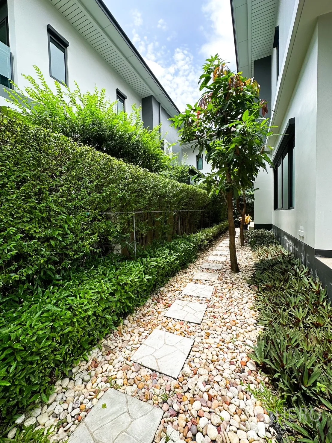 Detached House for rent or sale in Bang Kapi, Bangkok - Pebble garden pathway with stepping stones, lush hedges and a small tree between neighboring houses.