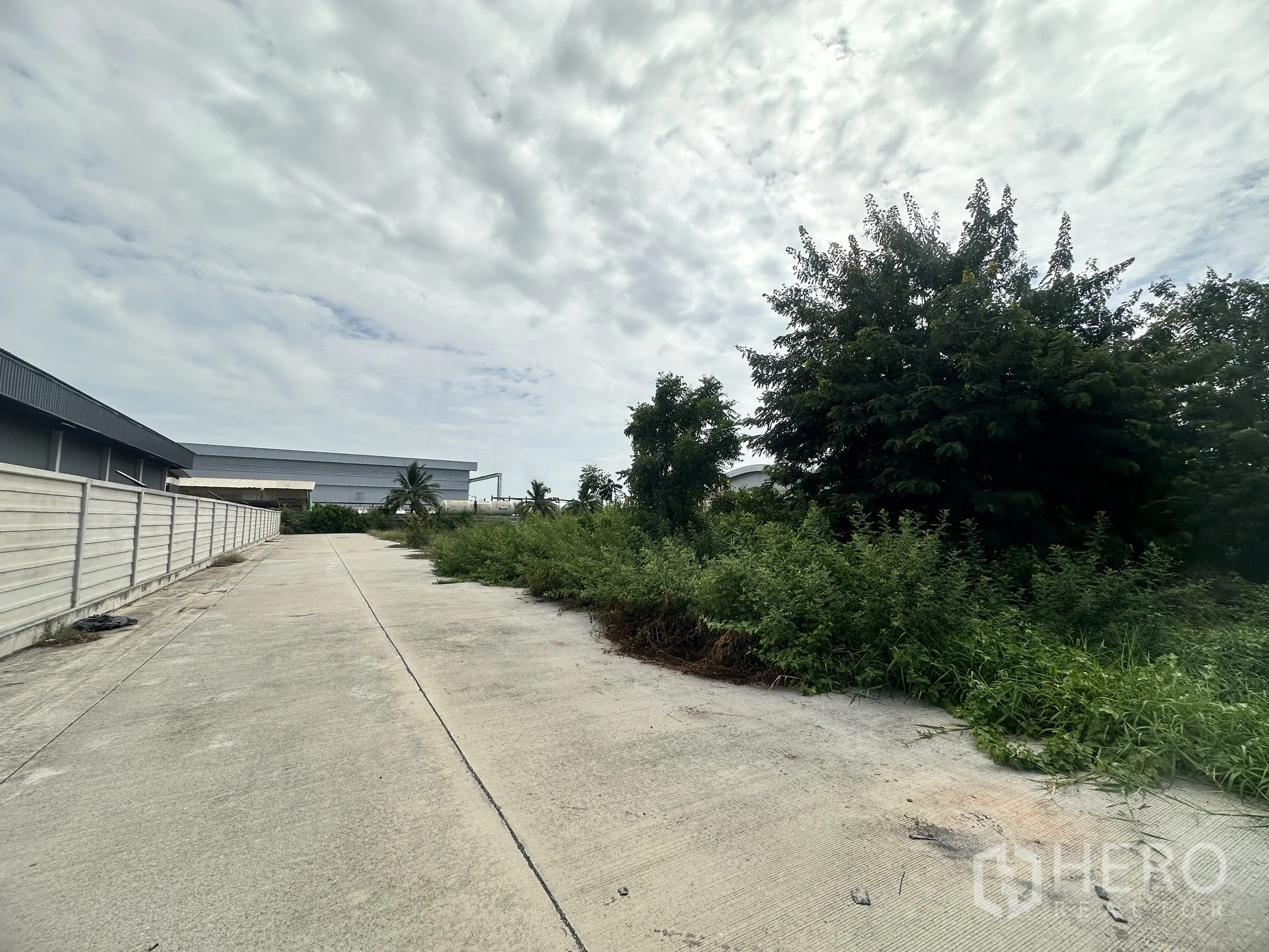 Land for sale in Sai Noi, Nonthaburi - Internal concrete lane flanked by a boundary wall and trees, leading toward industrial buildings.