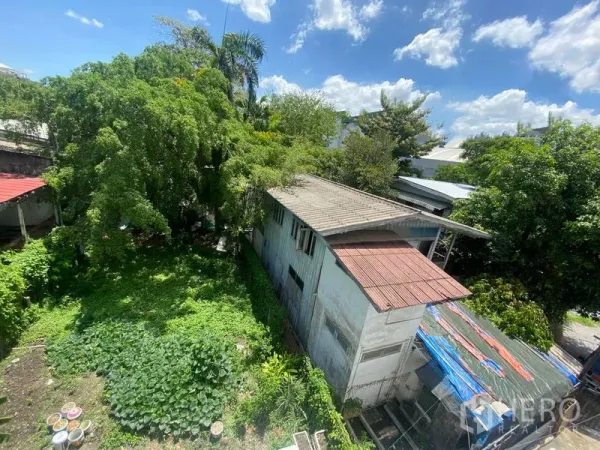 บ้าน ให้เช่าในKhlong Toei, Bangkok - มุมมองมุมสูงของบ้านสองชั้นหลังเก่ากับลานสีเขียวล้อมรอบด้วยต้นไม้หนาแน่น