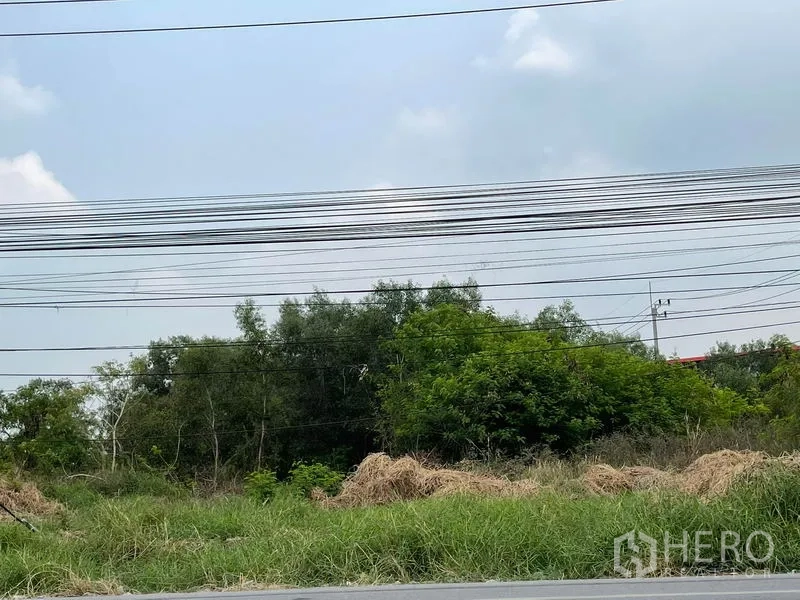 ที่ดิน ขายในLam Luk Ka, Pathum Thani - ด้านหน้าที่ดินติดถนนลาดยาง พร้อมเสาไฟและสายสื่อสาร