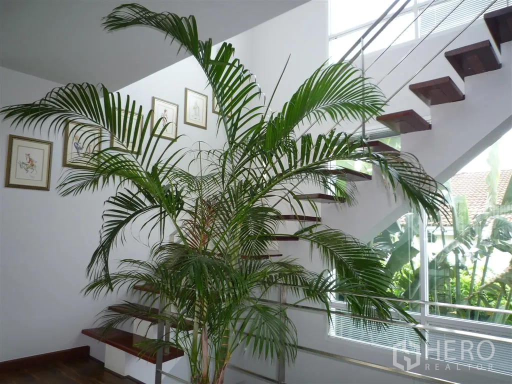 บ้าน ให้เช่าในKhan Na Yao, Bangkok - ต้นปาล์มภายในบ้านข้างบันไดลอย ราวกระจกและโลหะ