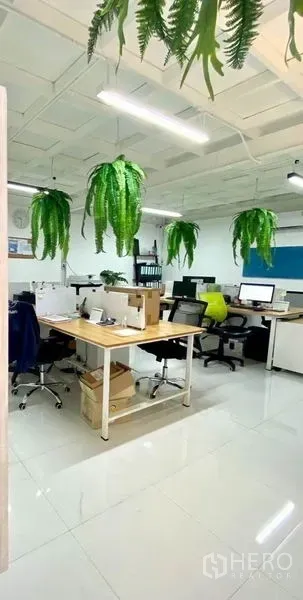 Warehouse for sale in Min Buri, Bangkok - Bright office workspace with desks, computers and hanging greenery from the ceiling.