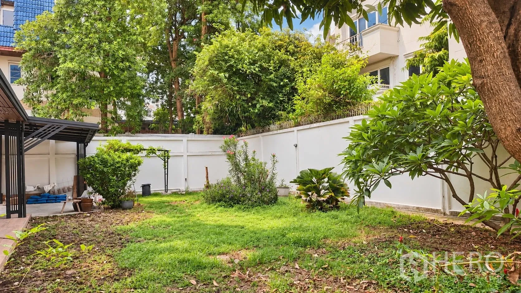 Detached House for rent in Khlong Toei, Bangkok - Private garden with lawn, trees, shrubs, and a white perimeter wall.