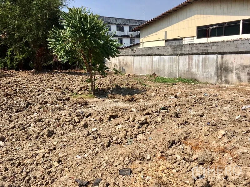 ที่ดิน ให้เช่าในBang Na, Bangkok - ที่ดินข้างอาคารคลังสินค้า เห็นแนวเขตและพื้นที่โล่ง