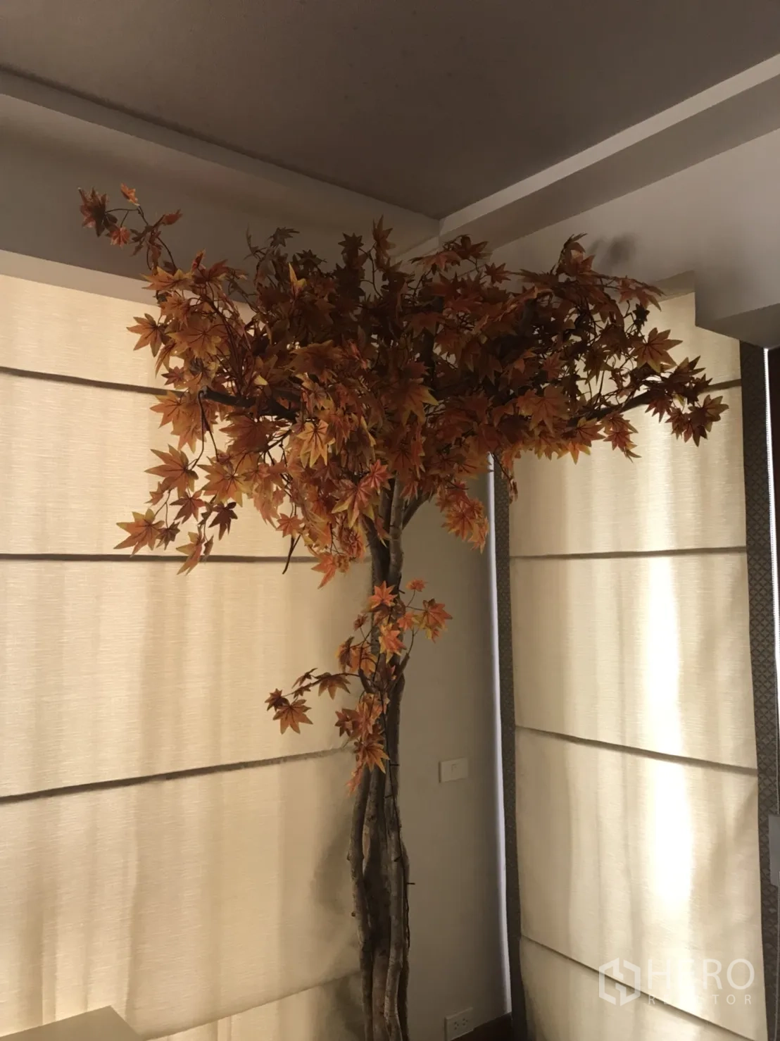 公寓 出租在Pathum Wan, Bangkok - 客厅内落地窗帘与装饰树营造温暖氛围。