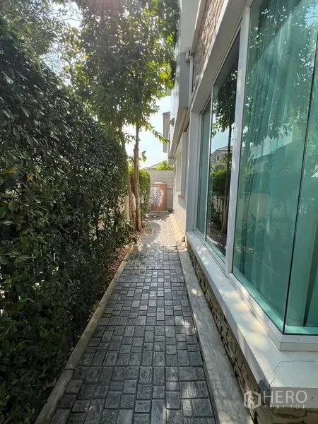 บ้าน ให้เช่าหรือขายในSaphan Sung, Bangkok - ทางเดินข้างบ้านมีรั้วพุ่มไม้และหน้าต่างบานใหญ่