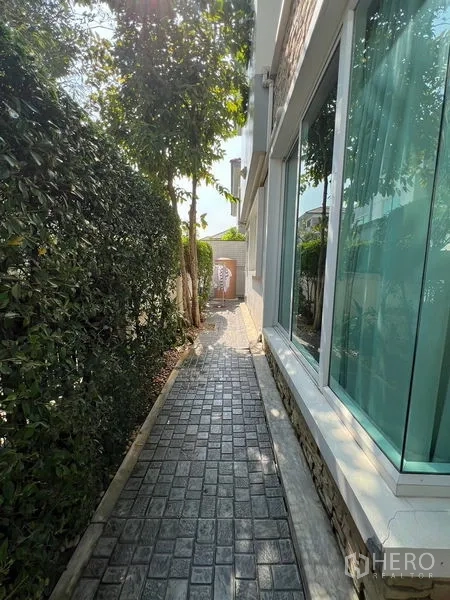 บ้าน ให้เช่าหรือขายในSaphan Sung, Bangkok - ทางเดินข้างบ้านมีรั้วพุ่มไม้และหน้าต่างบานใหญ่