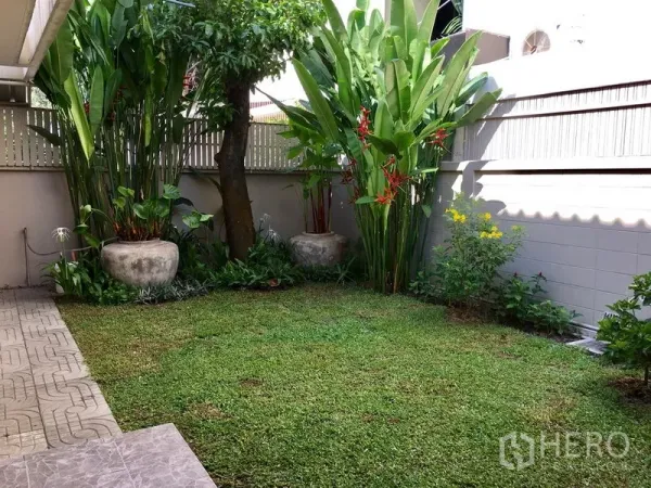 Detached House for rent in Khlong Toei, Bangkok - Private backyard with green lawn, potted tropical foliage and a mature tree.