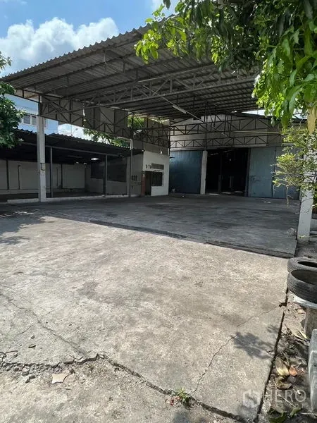 คลังสินค้า ให้เช่าในKhlong Toei, Bangkok - ลานด้านหน้าพร้อมหลังคา ร่มเงาต้นไม้ และพื้นที่กลับรถกว้าง