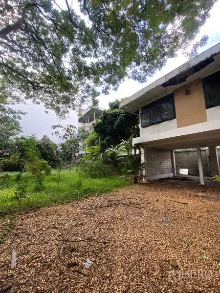 บ้าน ให้เช่าในBang Na, Bangkok - มุมข้างบ้านมีลานกรวดกว้าง สนามหญ้า และต้นไม้ เหมาะสำหรับที่จอดรถและจัดสวน