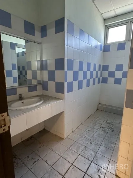 โรงงาน ให้เช่าในChon Buri - ห้องน้ำปูกระเบื้องลายตารางน้ำเงินขาว พร้อมอ่างล้างหน้าและกระจก แสงสว่างจากหน้าต่างสูง