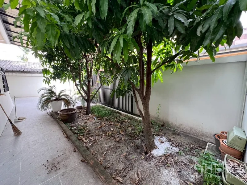 บ้าน ขายในPhra Khanong, Bangkok - สวนข้างบ้านขนาดกะทัดรัด มีต้นไม้ใหญ่ตลอดแนวกำแพง