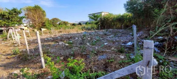 ที่ดิน ขายในBang Na, Bangkok - แปลงที่ดินว่างในบางนามีหลักเขตสีขาว พื้นที่โล่งมีหญ้ารก มีอาคารเตี้ยไกลๆ ใต้ท้องฟ้าโปร่ง