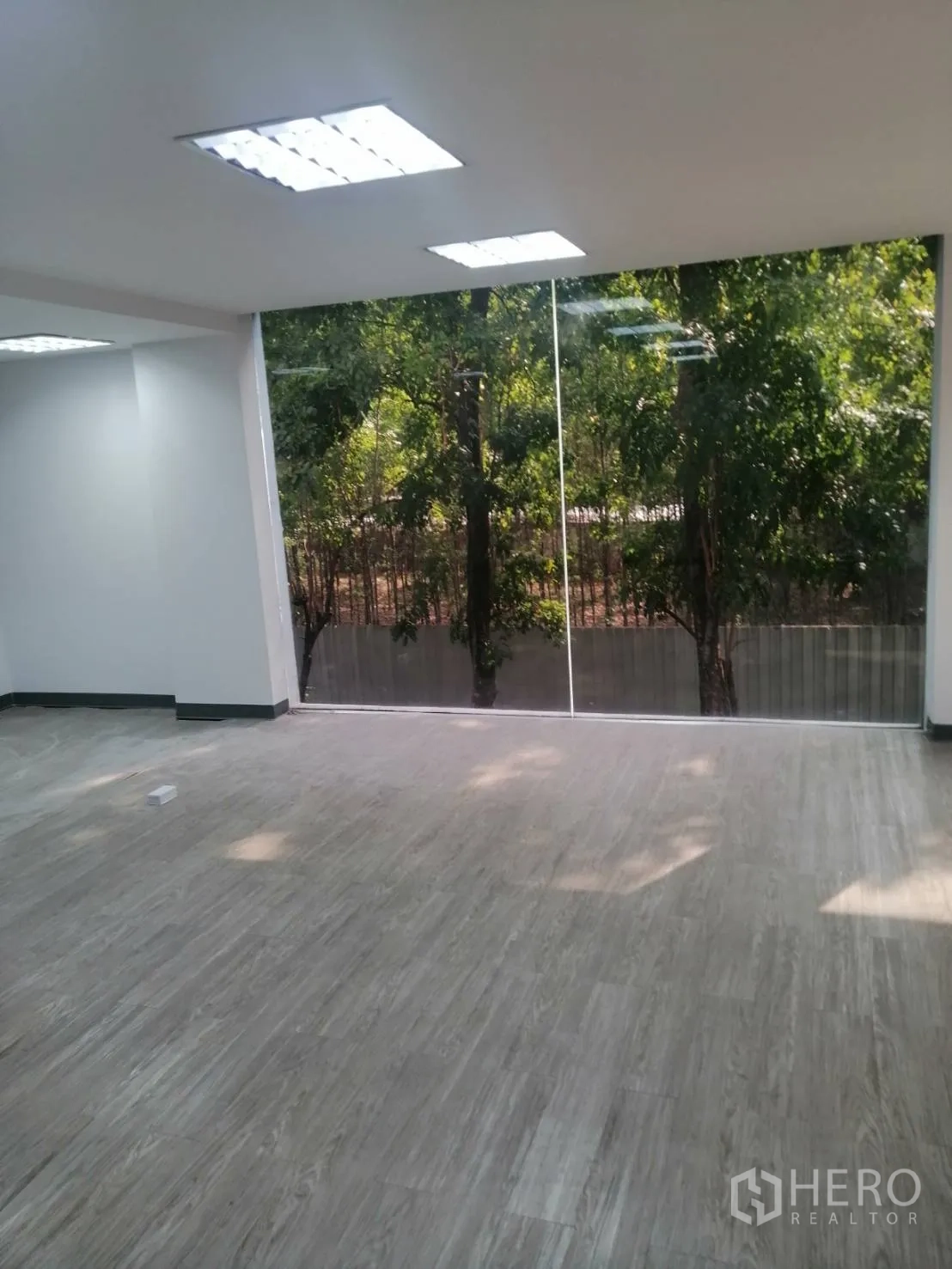 พื้นที่ขายปลีก ให้เช่าในWatthana, Bangkok - ห้องรับแสงธรรมชาติ ปูพื้นลายไม้ หน้าต่างบานใหญ่เห็นต้นไม้
