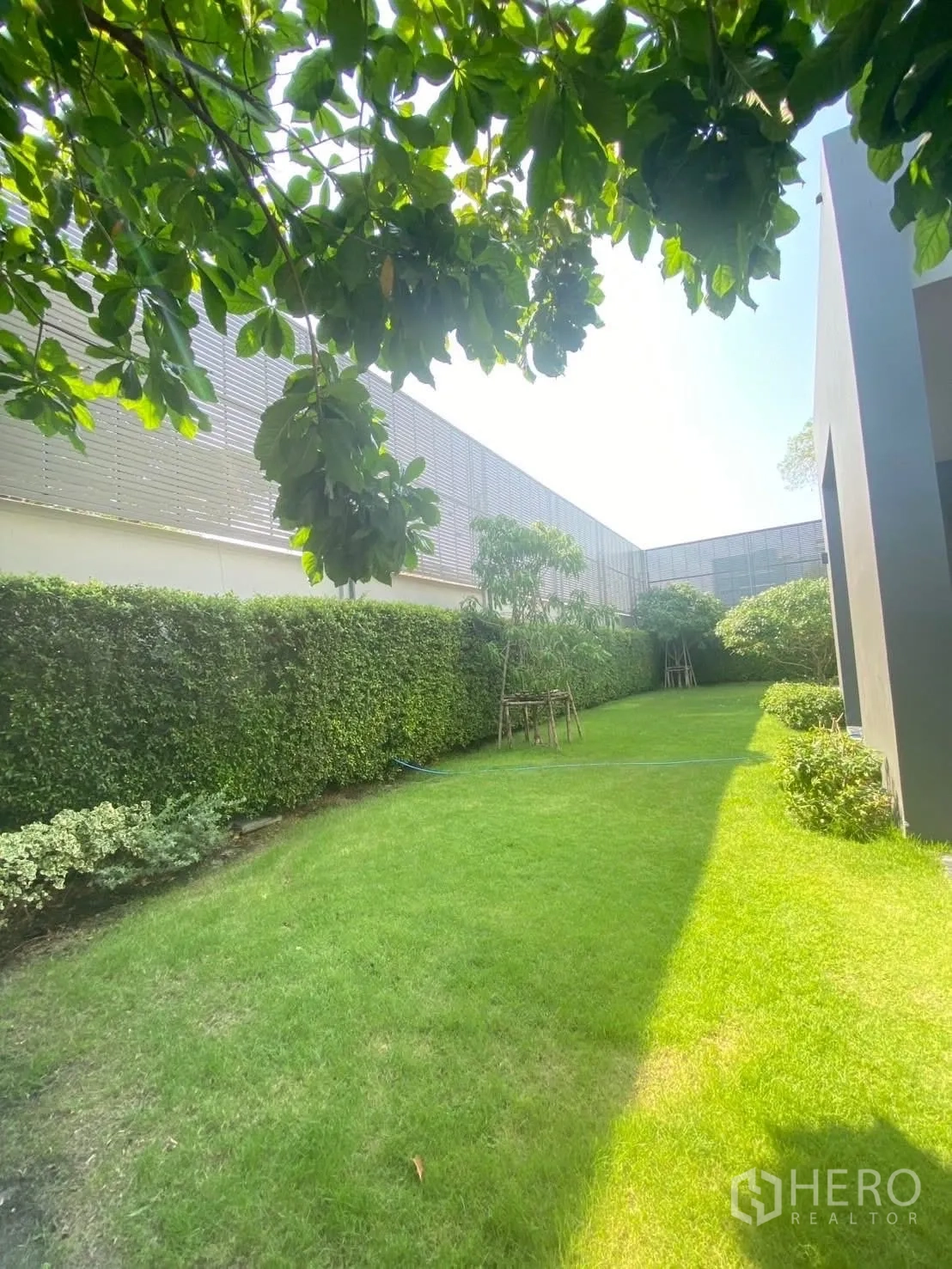 Detached House for rent or sale in Suan Luang, Bangkok - Private green garden with manicured lawn and hedge fence.