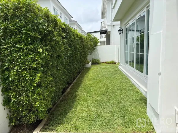 Detached House for rent or sale in Bang Phli, Samut Prakan - Narrow side yard with hedge privacy wall and sliding glass doors.