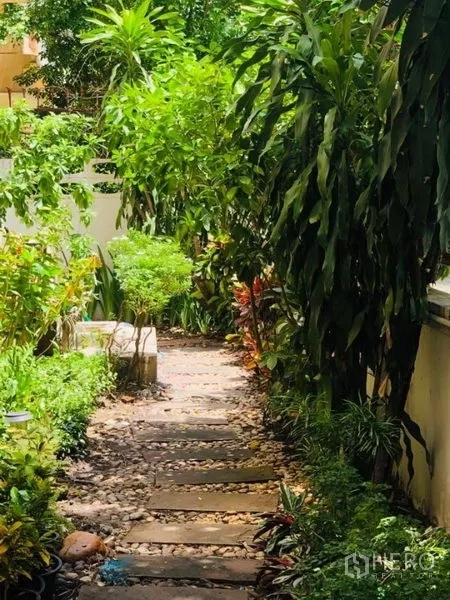 บ้าน ให้เช่าในWatthana, Bangkok - ทางเดินสวนร่มรื่นด้วยพรรณไม้เมืองร้อนและแผ่นทางเดินหิน ให้ความเป็นส่วนตัว