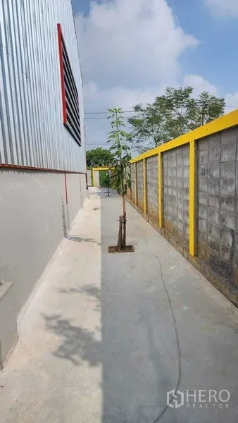 Warehouse for rent in Nong Chok, Bangkok - Concrete side walkway along corrugated metal warehouse and yellow-topped wall with small tree.