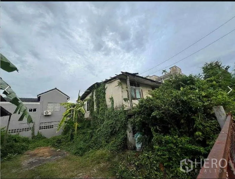 ที่ดิน ขายในPhra Khanong, Bangkok - แปลงที่ดินว่างพร้อมบ้านปกคลุมด้วยเถาวัลย์ ต้นกล้วย และอาคารเตี้ยรอบข้าง