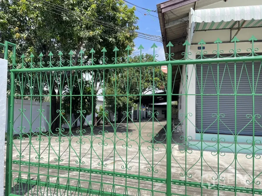 工厂 出租或出售在Pathum Thani - 绿色铁艺大门与混凝土车道，后方是带卷帘门的白色工厂与树木。