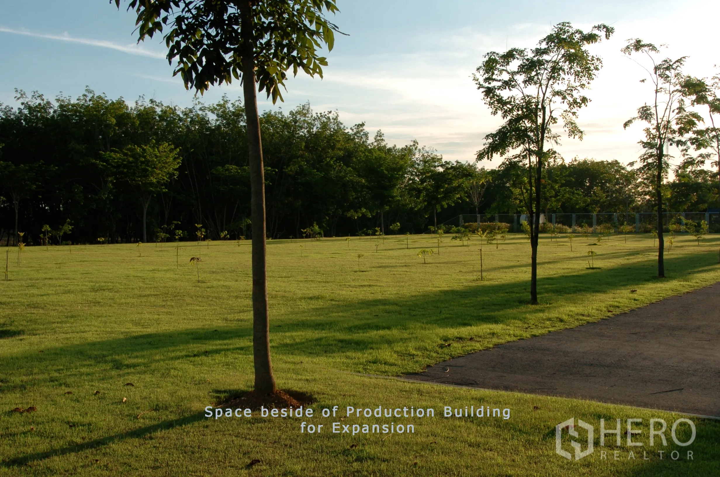 工厂 for sale in Khao Chamao, Rayong - 生产楼旁的大草坪与幼树及铺装步道，适合未来扩建。