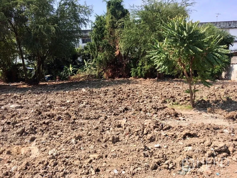 ที่ดิน ให้เช่าในBang Na, Bangkok - แปลงว่างมีต้นไม้เล็กและดินปรับพร้อมพัฒนา