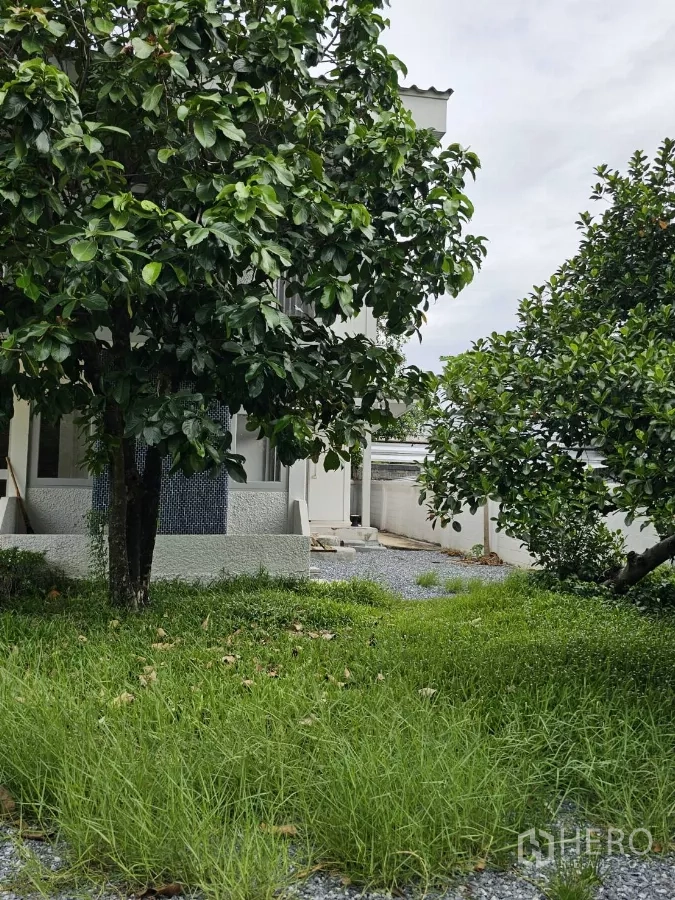 บ้าน ให้เช่าหรือขายในLat Phrao, Bangkok - สวนพร้อมต้นไม้และทางโรยหินกรวดข้างตัวบ้าน