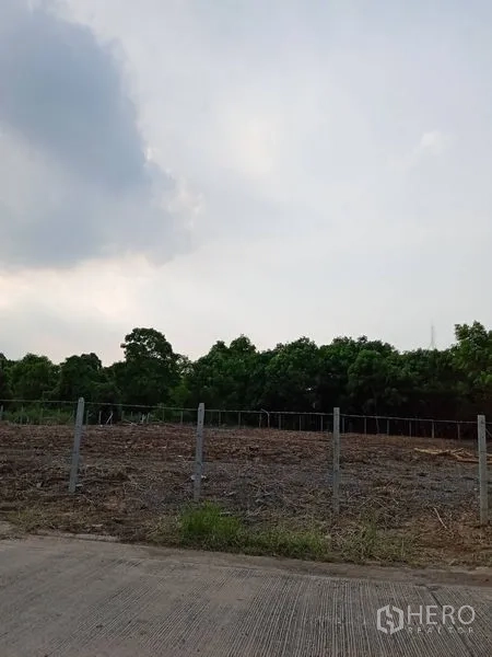 Land for rent in Lam Luk Ka, Pathum Thani - Vacant fenced land beside a concrete road with a line of trees under a cloudy sky.