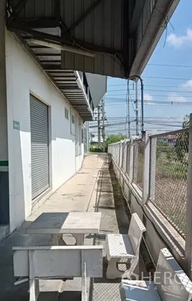 คลังสินค้า ให้เช่าหรือขายในLam Luk Ka, Pathum Thani - ทางเดินหลังอาคาร มีประตูม้วน รั้วลวดหนาม และระบบสาธารณูปโภค