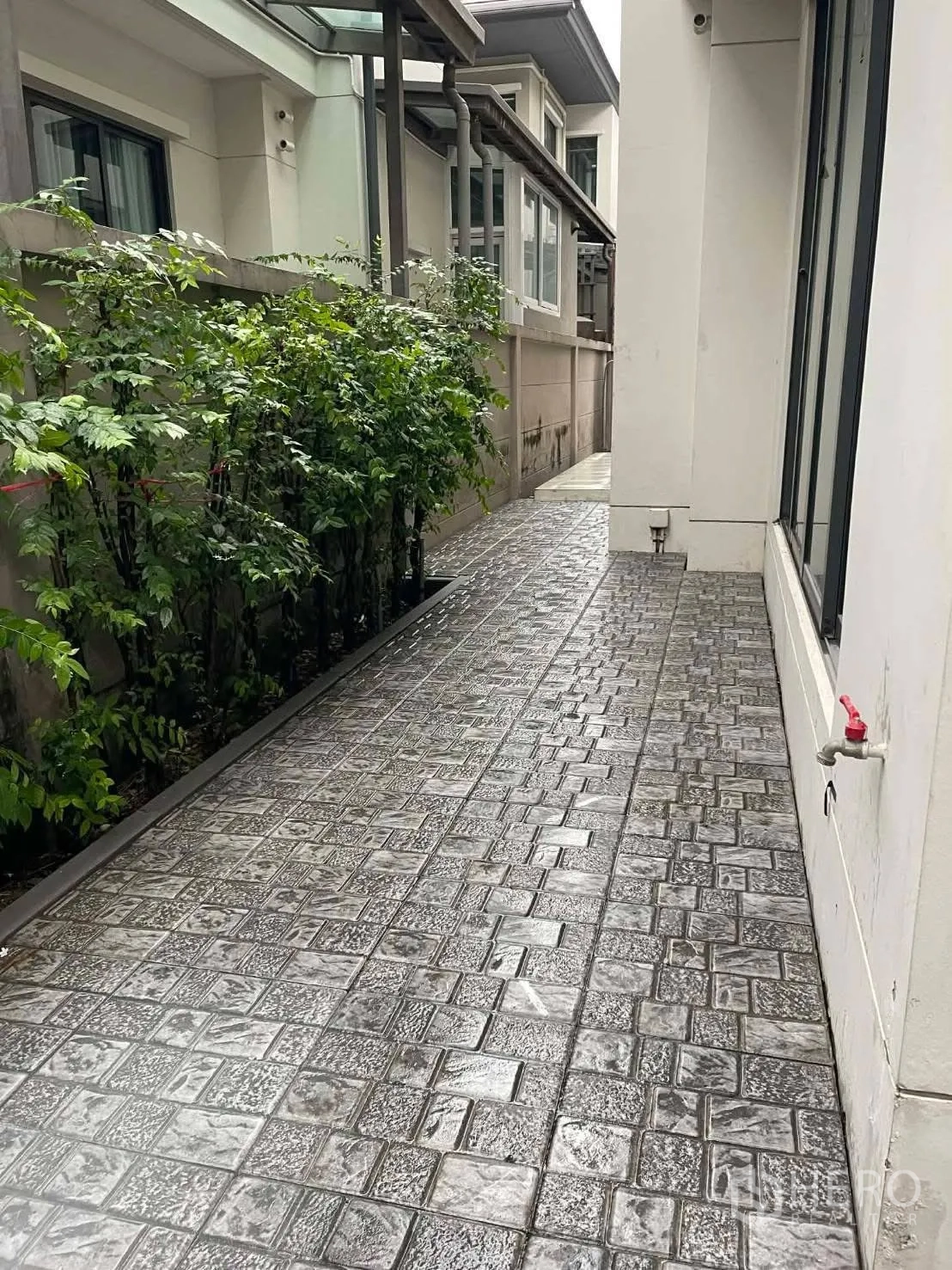 บ้านเดี่ยว for rent in Saphan Sung, Bangkok - ทางเดินข้างบ้านปูพื้นกระเบื้อง มีแนวไม้พุ่มตลอดแนว.