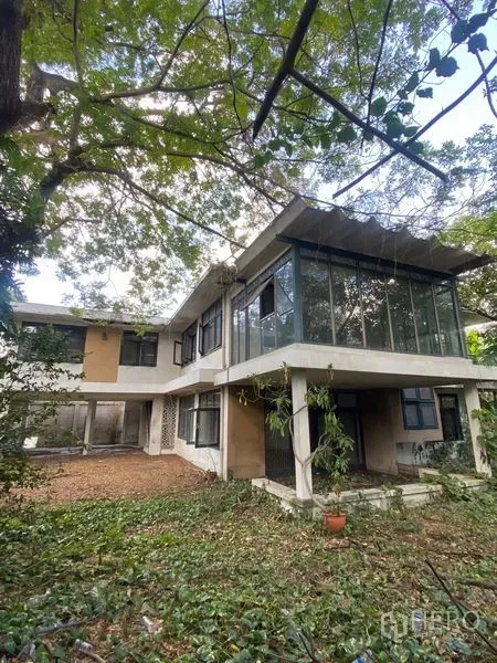 独立式住宅 出租在Bang Na, Bangkok - 曼谷邦纳两层独栋住宅外观，二层玻璃房与大树遮荫的花园。