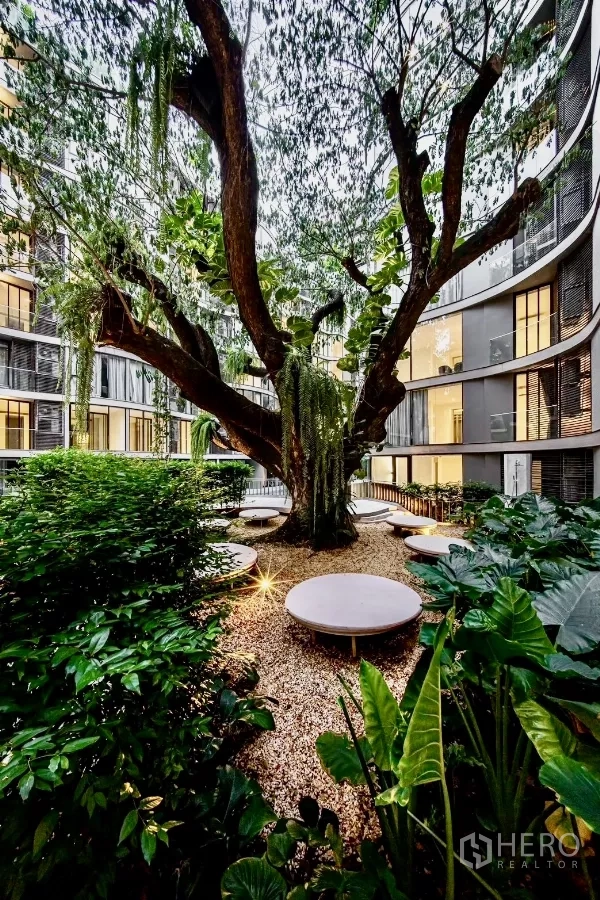 คอนโด ให้เช่าในKhlong Toei, Bangkok - สวนคอร์ทยาร์ดเขียวชอุ่ม มีต้นไม้ใหญ่และที่นั่งวงกลม