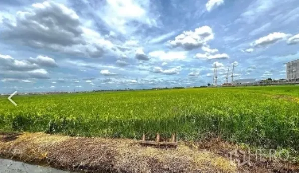 Land for sale in Lam Luk Ka, Pathum Thani - Frontage of cultivated land beside an irrigation ditch with blue skies, clouds, and buildings with cranes on the right.