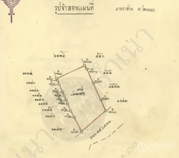 Land for sale in Phasi Charoen, Bangkok - Survey plan illustrating the irregular-shaped land parcel with boundary measurements in Bangkok.
