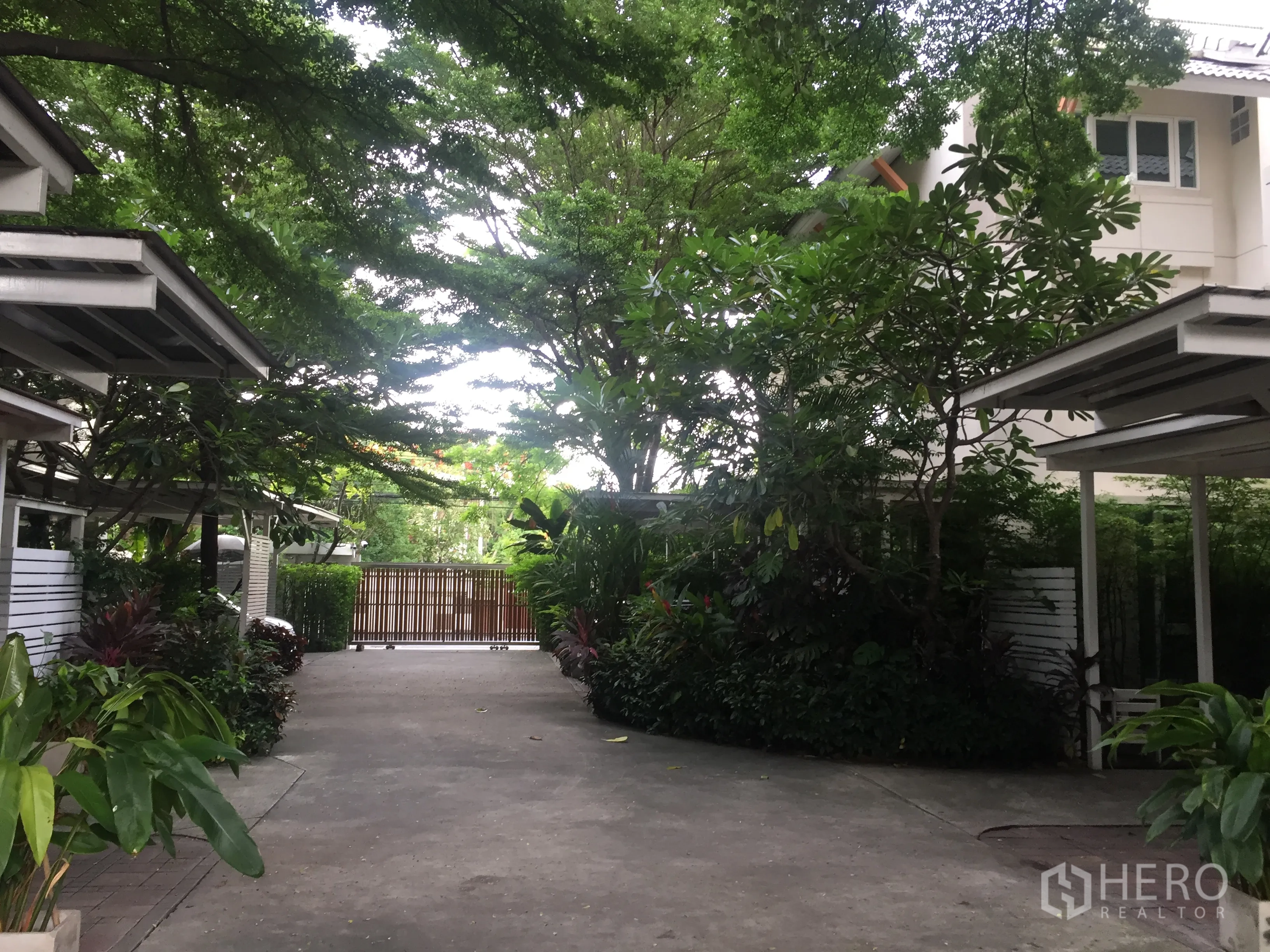 Detached House for rent in Watthana, Bangkok - Gated driveway lined with mature trees and covered carports.