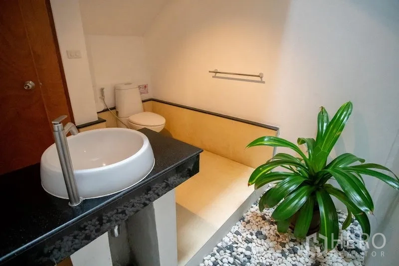 Townhouse for rent in Watthana, Bangkok - Modern powder room with vessel sink, step-down floor, and indoor plant on white pebbles.