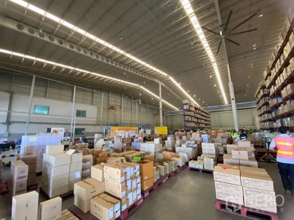 Warehouse for rent in Bang Phli, Samut Prakan - High-bay warehouse interior with palletized boxes, tall racking and bright LED lighting.
