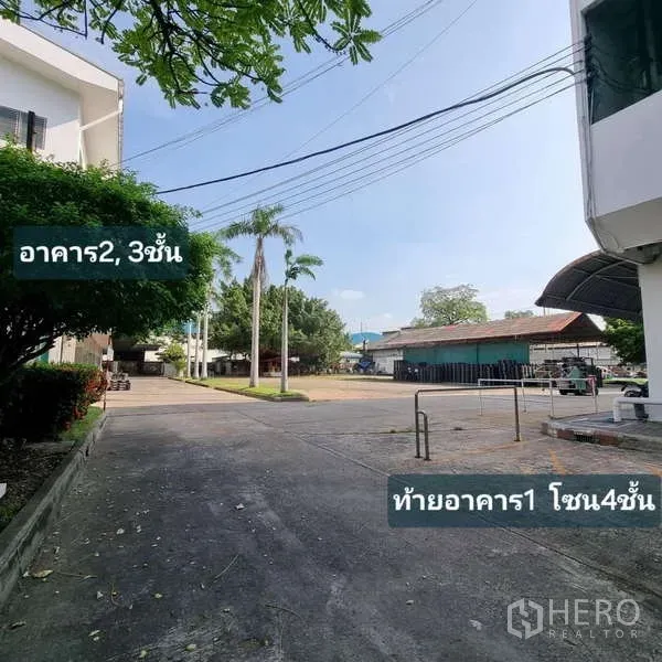 Standalone for rent in Krathum Baen, Samut Sakhon - Wide concrete driveway and open courtyard between industrial buildings with palm trees and utility lines overhead.