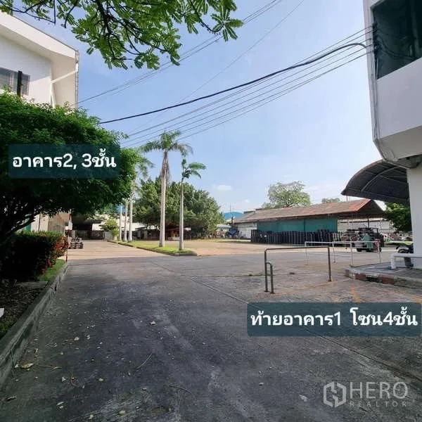Standalone for rent in Krathum Baen, Samut Sakhon - Wide concrete driveway and open courtyard between industrial buildings with palm trees and utility lines overhead.