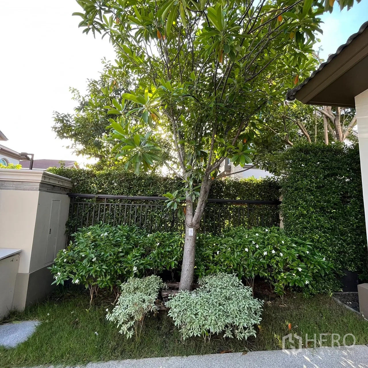 บ้าน ให้เช่าหรือขายในBang Khen, Bangkok - สวนมุมร่มรื่น มีต้นไม้ พุ่มไม้ และสนามหญ้า