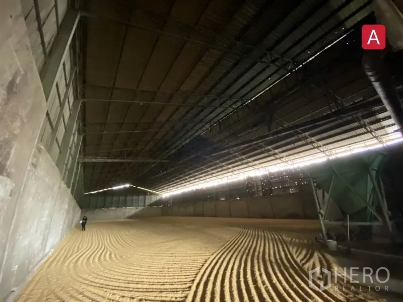 工厂 出租在Chachoengsao - 厂房内部钢结构屋顶与绿色料斗设备用于物料处理