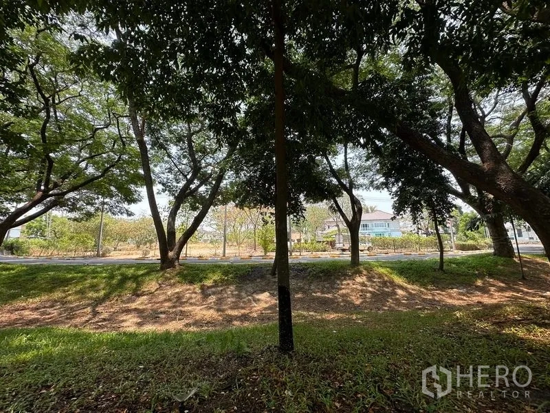 Land for sale in Khlong Luang, Pathum Thani - Mature canopy casting dappled light over a grassy verge with homes in the background.
