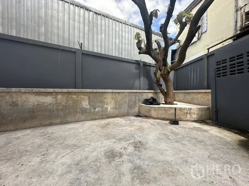 带办公室的家 出租或出售在Bang Na, Bangkok - 私家庭院，中间有树和环形座基。