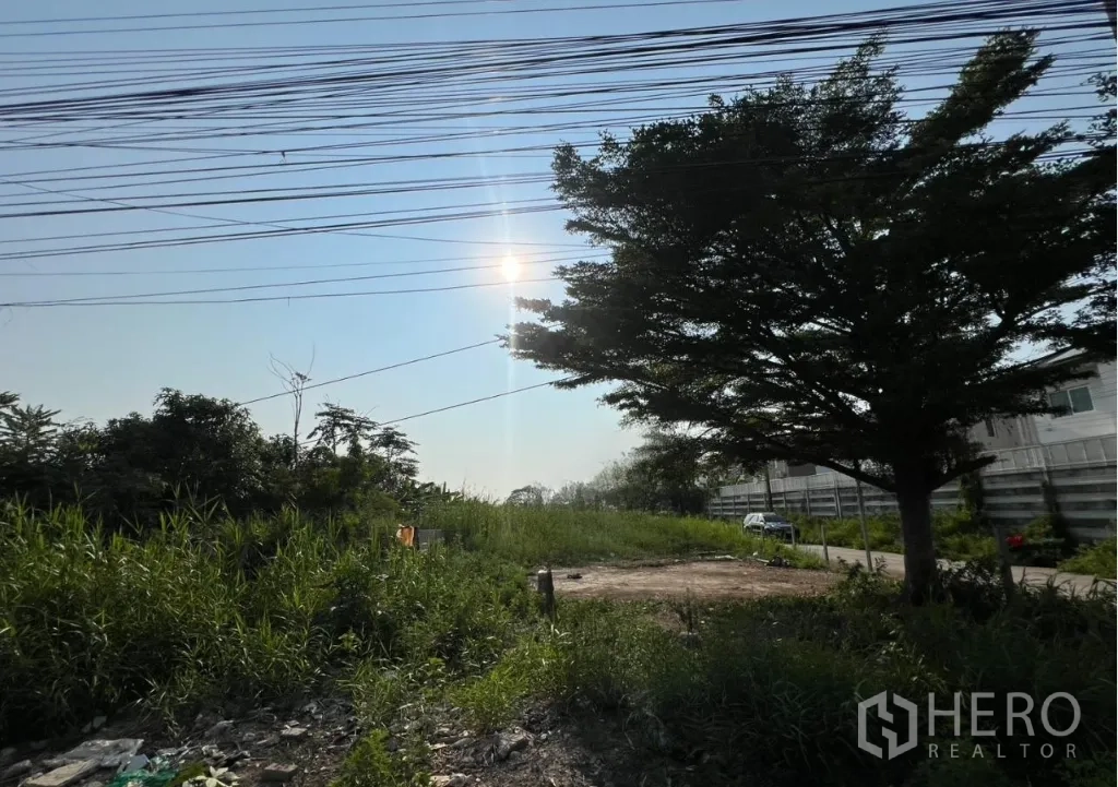 Land for sale in Lat Krabang, Bangkok - Vacant plot area under trees with overhead cables and a parked car.