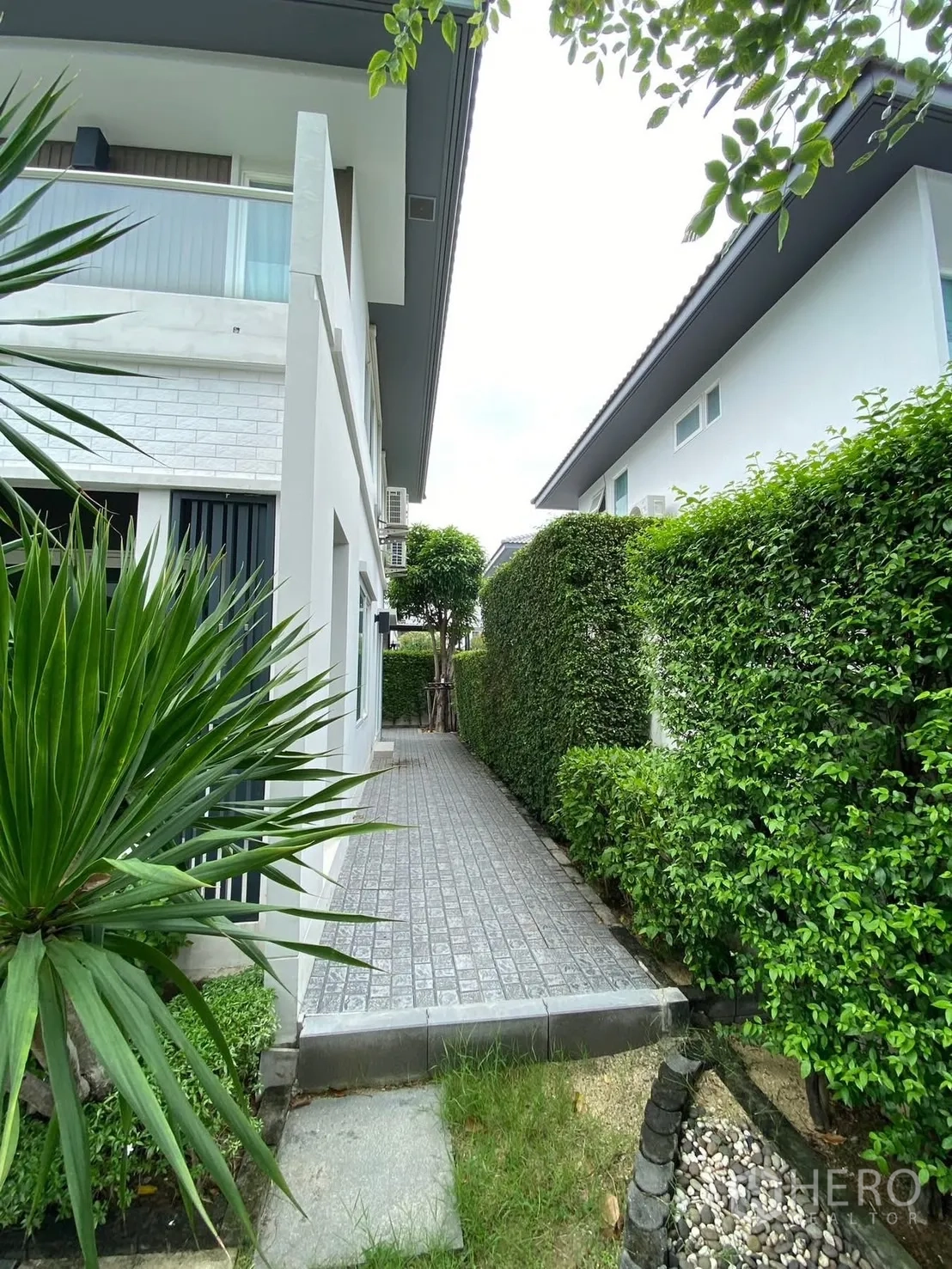 บ้าน ให้เช่าในPrawet, Bangkok - ทางเดินข้างบ้านปูพื้น คั่นด้วยแนวพุ่มไม้ตัดแต่งเรียบร้อย