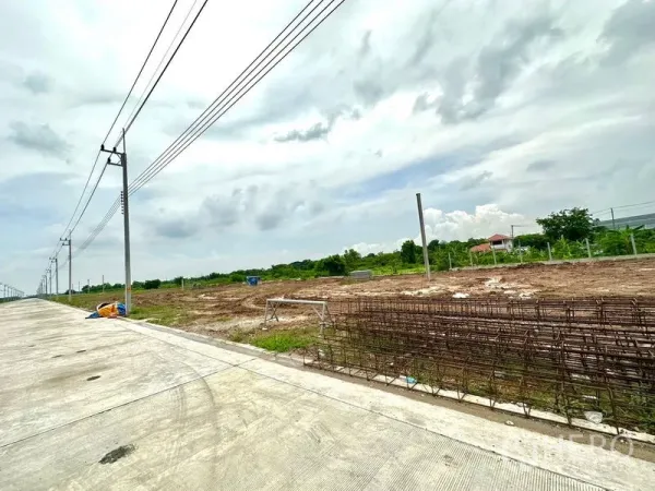 Land for sale in Lam Luk Ka, Pathum Thani - Long row of power poles bordering freshly leveled purple‑zone land and green surroundings.
