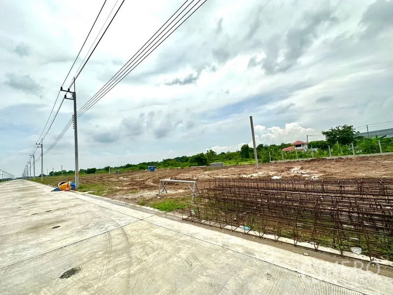 Land for sale in Lam Luk Ka, Pathum Thani - Long row of power poles bordering freshly leveled purple‑zone land and green surroundings.
