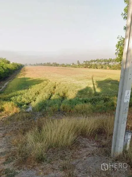 Land for sale in Bang Bua Thong, Nonthaburi - View of the wide plot from a roadside with a utility pole and grassy verge.